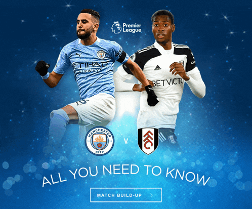 Manchester City Vs Fulham Premier League GIF
