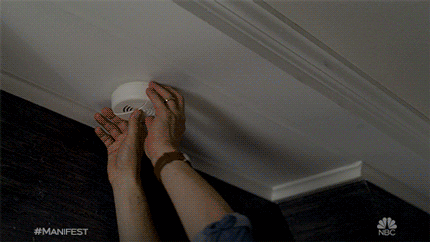 Manifest Looking For Something GIF