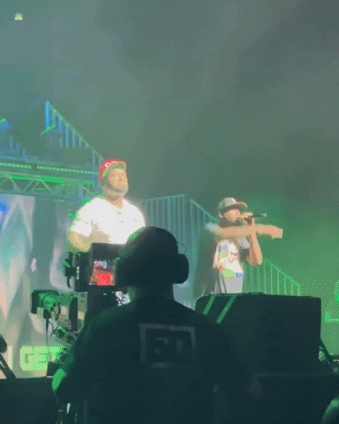 Many Men Vibing Concert GIF