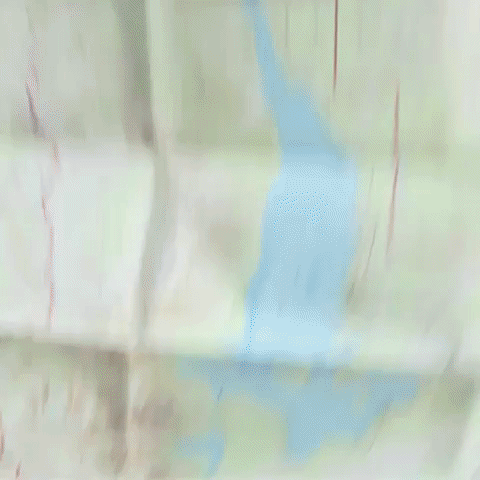 Map Nature Explorer Guy Explaining GIF