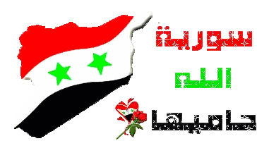 Map of Syria With Flag
