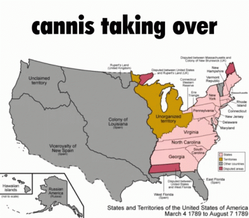 Map of United States Saying Cannabis Taking Over