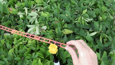 Marble Backyard Maze GIF