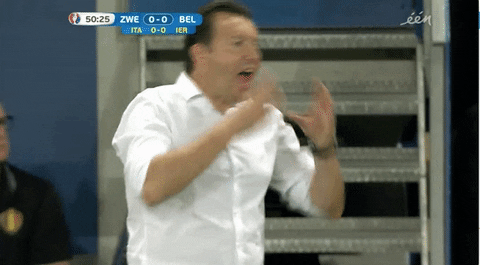 Marc Wilmots During Sweden Football GIF