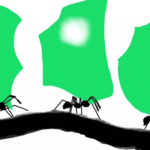 Ants March Loop GIF