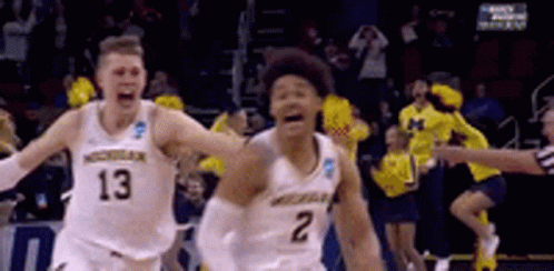 March Madness Team Michigan GIF