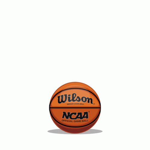 March Madness Ball GIF