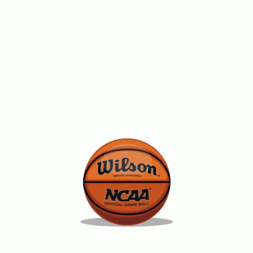 March Madness Ball GIF