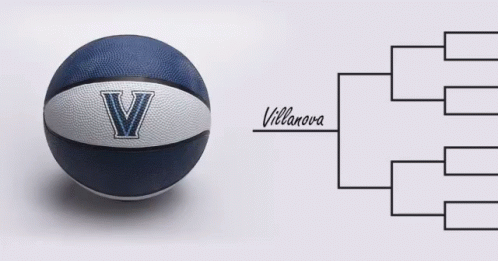 March Madness Ball Team GIF