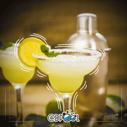 Margarita With Lemon Slice and Mint