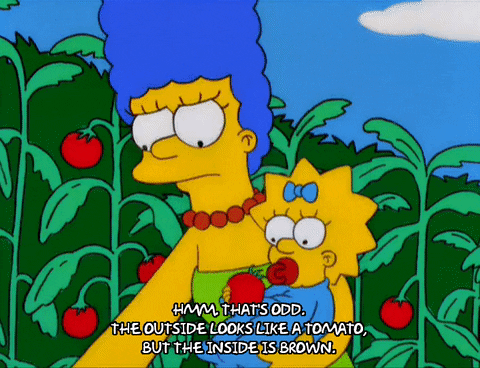 Marge Simpson Picking Up Bitten Tomato GIF