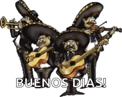 Mariachi Playing Guitars and Trumpets