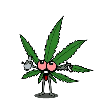 Marijuana Leaf Holding Bong