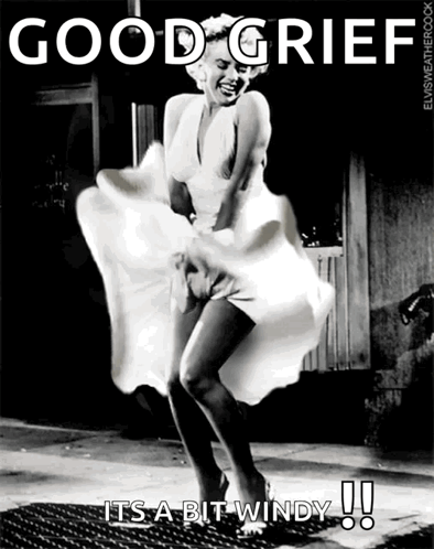 Marilyn Monroe Saying Good Grief It's Windy