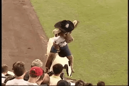 Mariners Win Mascot Moose Bull Ride GIF