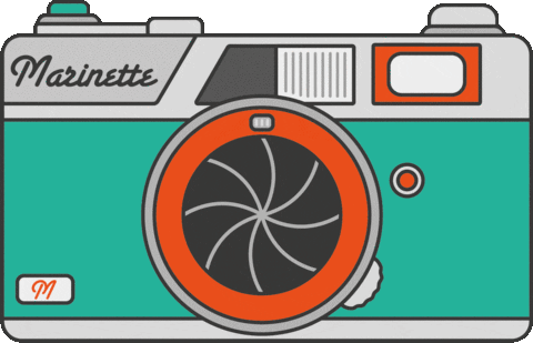 Marinette Vintage Film Camera Artwork GIF