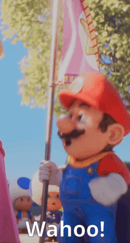 Mario Holding Flag Saying Wahoo