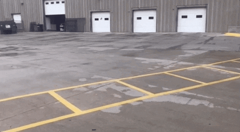 Mario Kart Puppy Cart GIF