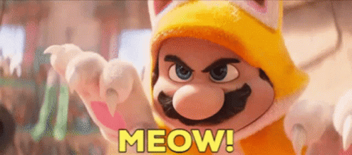 Mario Movie Funny Cat Meow GIF