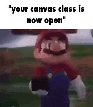 Mario Saying Your Canvas Class Is Now Open