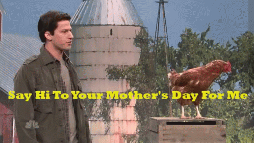 Mark Wahlberg Say Hi To Your Mother For Me GIF
