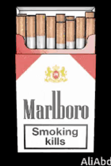 Marlboro Cigarettes Smoking Kills GIF