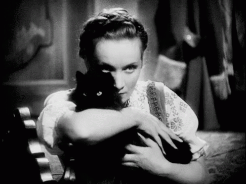 Marlene Dietrich And Nojao Cat GIF