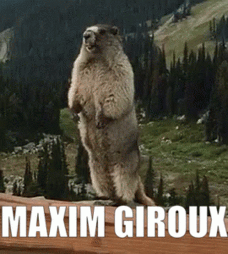 Marmot Standing on Hind Legs Maxim Giroux