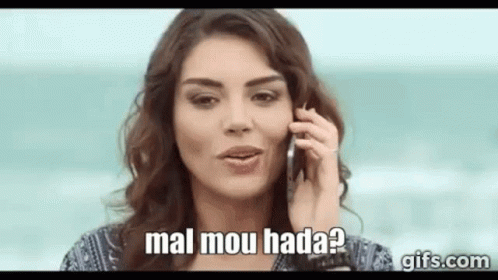 Maroc Wolf GIF