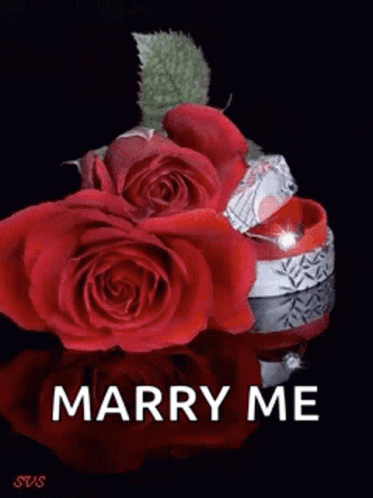 Marry Me Cutie GIF