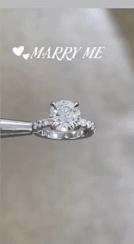 Marry Me Here's The Ring GIF