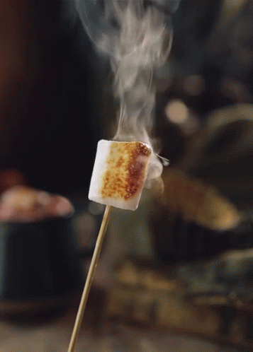 Marshmallow Roasting On Stick GIF