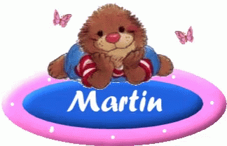 Martin Cute Bear Animals GIF