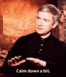 Martin Freeman Stay Calm GIF