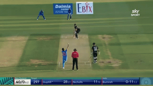 Martin Guptill Cricket Ball Audience GIF