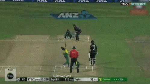 Martin Guptill New Zealand Cricket Team GIF