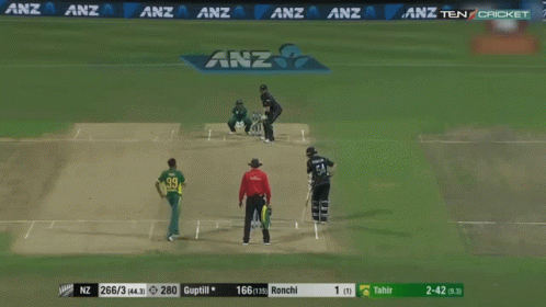 Martin Guptill Side Hit Crew Team GIF