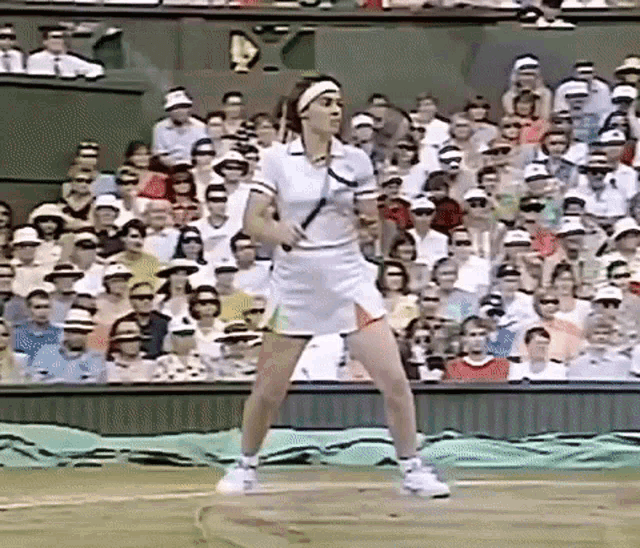 Martina Hingis Forehand Gif GIF