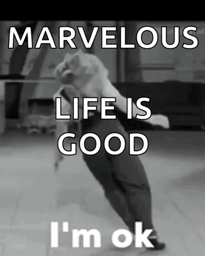 Marvelous Life Good I'm Ok GIF
