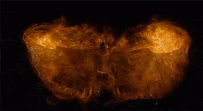 Marvelous Phoenix Creative Design GIF