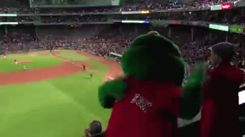 Mascot Cheering at Baseball Game