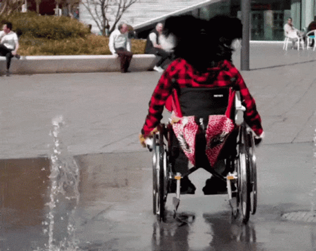 Mascot Dog Riding Wheelchair GIF