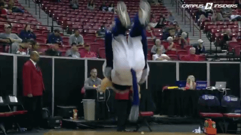 Mascot Doing Flip on Basketball Court While Crowd Watches