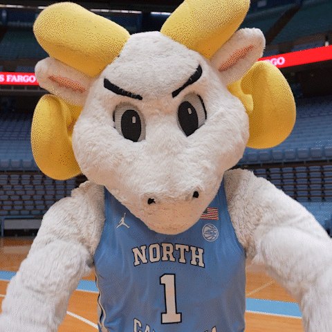Mascot in Blue North Jersey Number 1