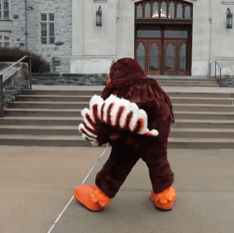 Mascot in Brown and White Costume Walking
