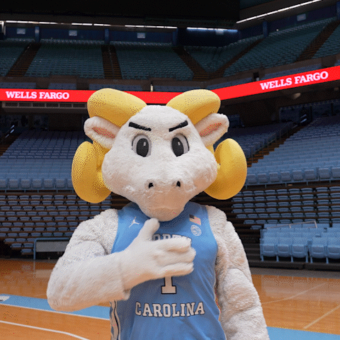 Mascot in Carolina Jersey at Wells Fargo Sign