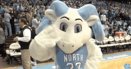 Mascot In North 27 Jersey In Front Of Crowd GIF