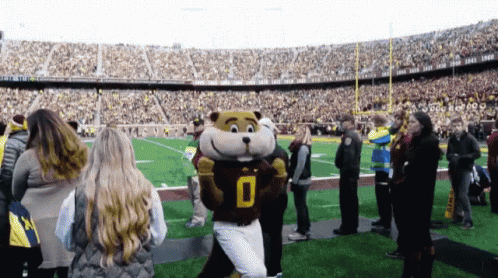 Mascot in Number 0 Jersey on Football Field