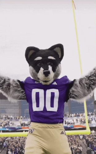 Mascot in Purple Jersey Number 00