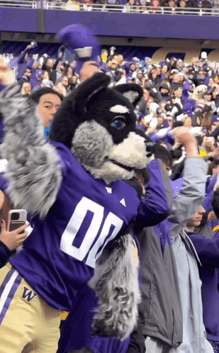 Mascot in Purple Jersey Number 07